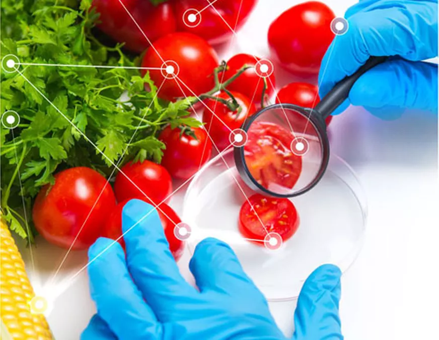 Test delle Intolleranze Alimentari e Test delle Disbiosi Intestinali